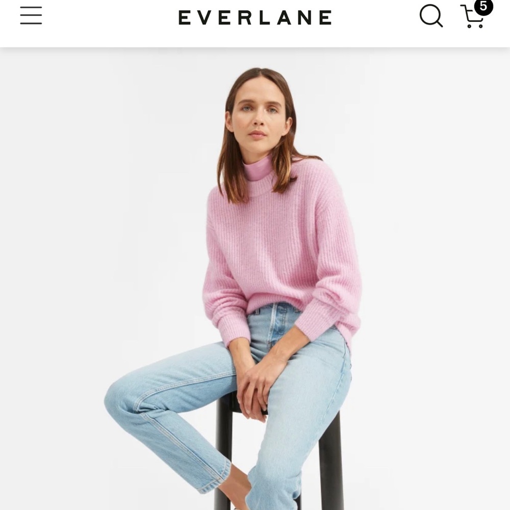Everlane Oversized Alplaca Sweater